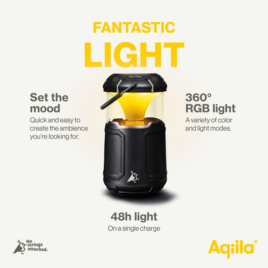 Aqiila Adaptateur de charge CC2, Prise de charge 12V pour voiture /  32W USB-C & USB-A