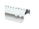 EasyLan preLink / fixLink Panel 19'' 1HE, 24x Keystone-Steckplätze