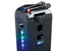 Lenco 2x Wireless Mikrofon MCW-020BK
