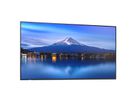Sharp Signage Display MultiSync P656, 65", UHD, 24/7, 700cd/m²