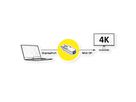 VALUE Adaptateur DisplayPort, DP M-Mini DP F