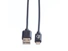 VALUE USB 2.0 Sync- & Ladekabel mit 8pin-Anschluss, 0,15 m