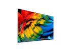 Philips Hotel TV 75HFL6214U/12, 75", UHD, 400cd/m², Netflix