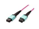 VALUE MPO-Trunk-Kabel 50/125µm OM4, MPO/MPO, TYPE A, violett, 3 m