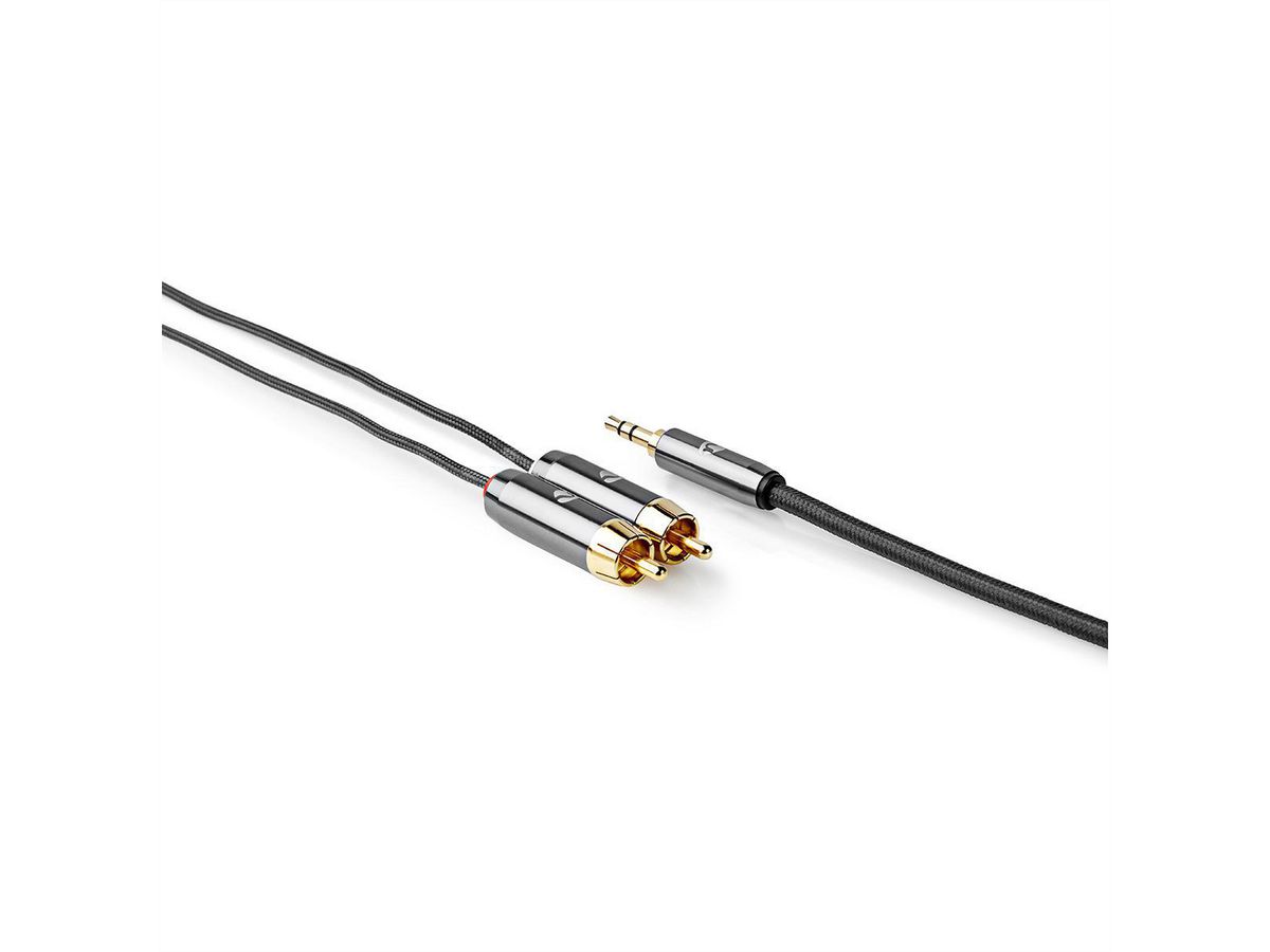 Câble audio stéréo Nedis, 1x jack ST, 2x RCA ST, gris, 2 m