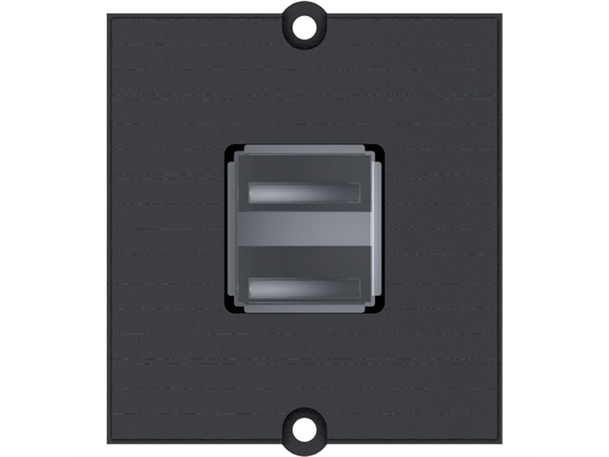 BACHMANN Rahmen 2xUSB A Schraubklemme
