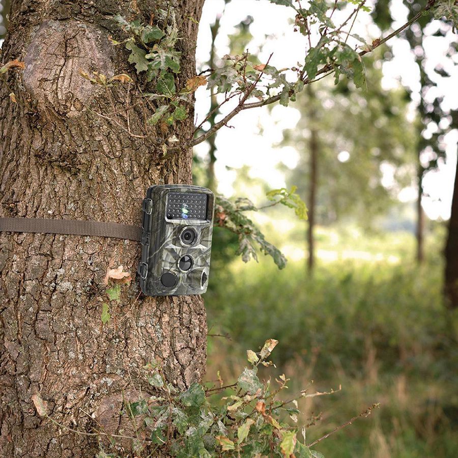 Nedis Wildlife Camera 1080p, 30fps, 24.0 Mpixels, IP66, vision nocturne