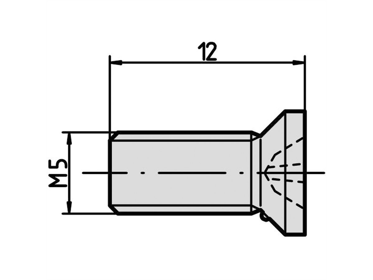 SCHROFF Vis pour fixation de modules et de profilés - NTS SO.SENKSCHR.M5X12 100ST