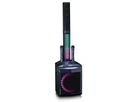 Lenco PA-Anlage PA-220BK, 2 Mikrofone,, BT, Party Licht, 120W RMS