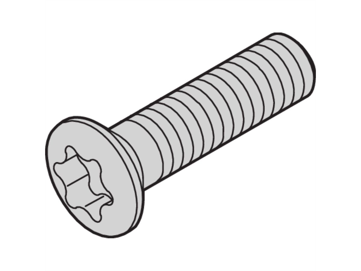 Vis à tête cylindrique de SCHROFF, Torx, autotaraudante, acier zingué, M2.5 x 10