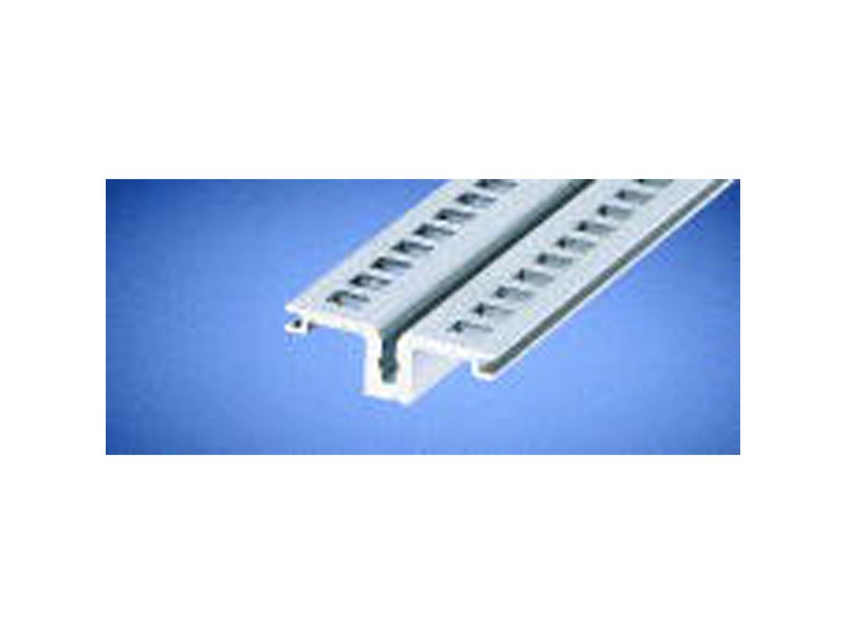 Rail horizontal arrière SCHROFF, type AB pour guide-cartes E/S arrière, 1000 mm