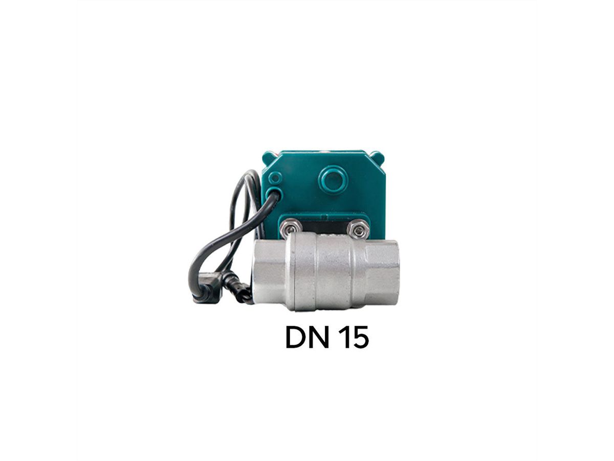 Shelly FrankEver Ventilsteuerung DN15