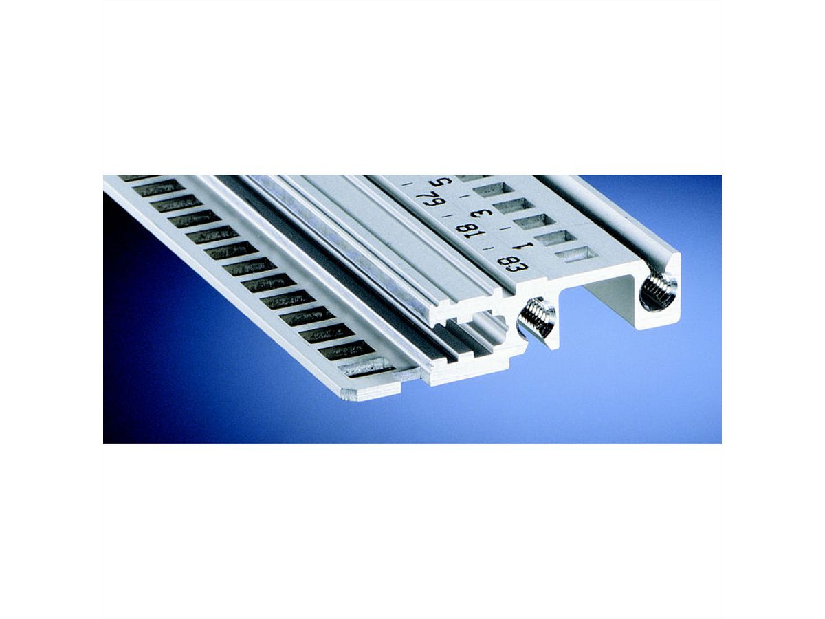 Rail horizontal SCHROFF, avant, type H-LD, lourd, lèvre longue, pour application IEEE, 84 HP