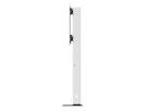 Hagor Medienstele CON-Line Big FS, freistehend, Dual, 65 - 75"
