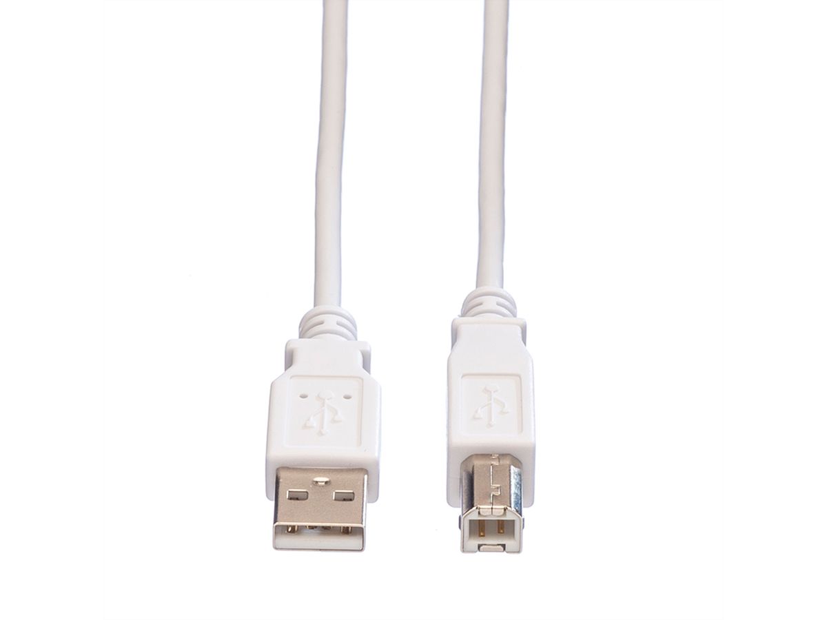VALUE USB 2.0 Kabel, Typ A-B, weiß, 0,8 m