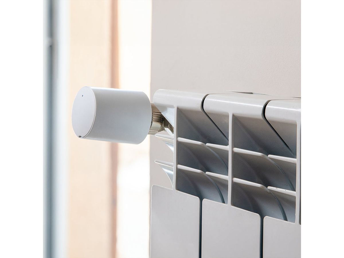 Shelly Funk-Bewegungsmelder BLU TRV, x2 + Blu Gateway Gen3