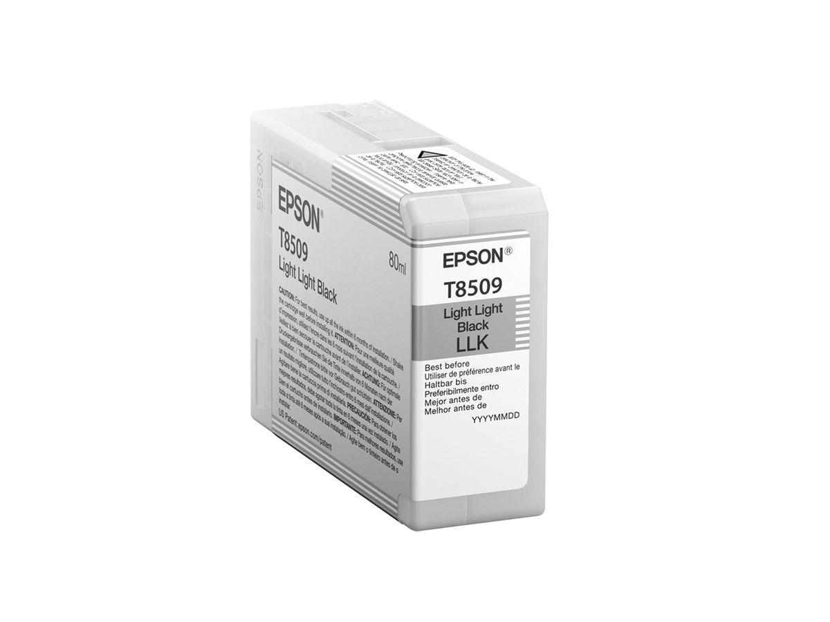 Epson Singlepack Light Light Black T850900