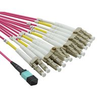 VALUE MPO-Fanout-Kabel 50/125µm OM4, MPO/12x LC, violett, 2 m