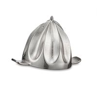 Saftkegel zu Typ 8454