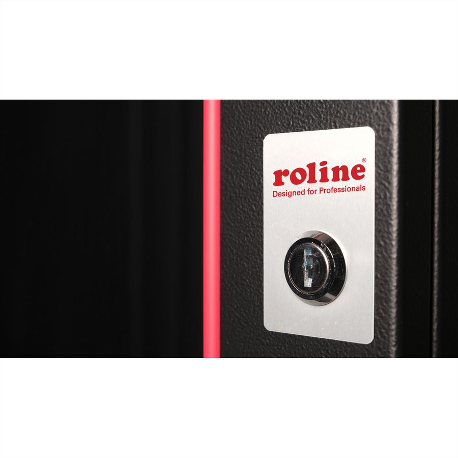 ROLINE 19-Zoll Wandgehäuse Pro 12 HE, 600x450 BxT schwarz