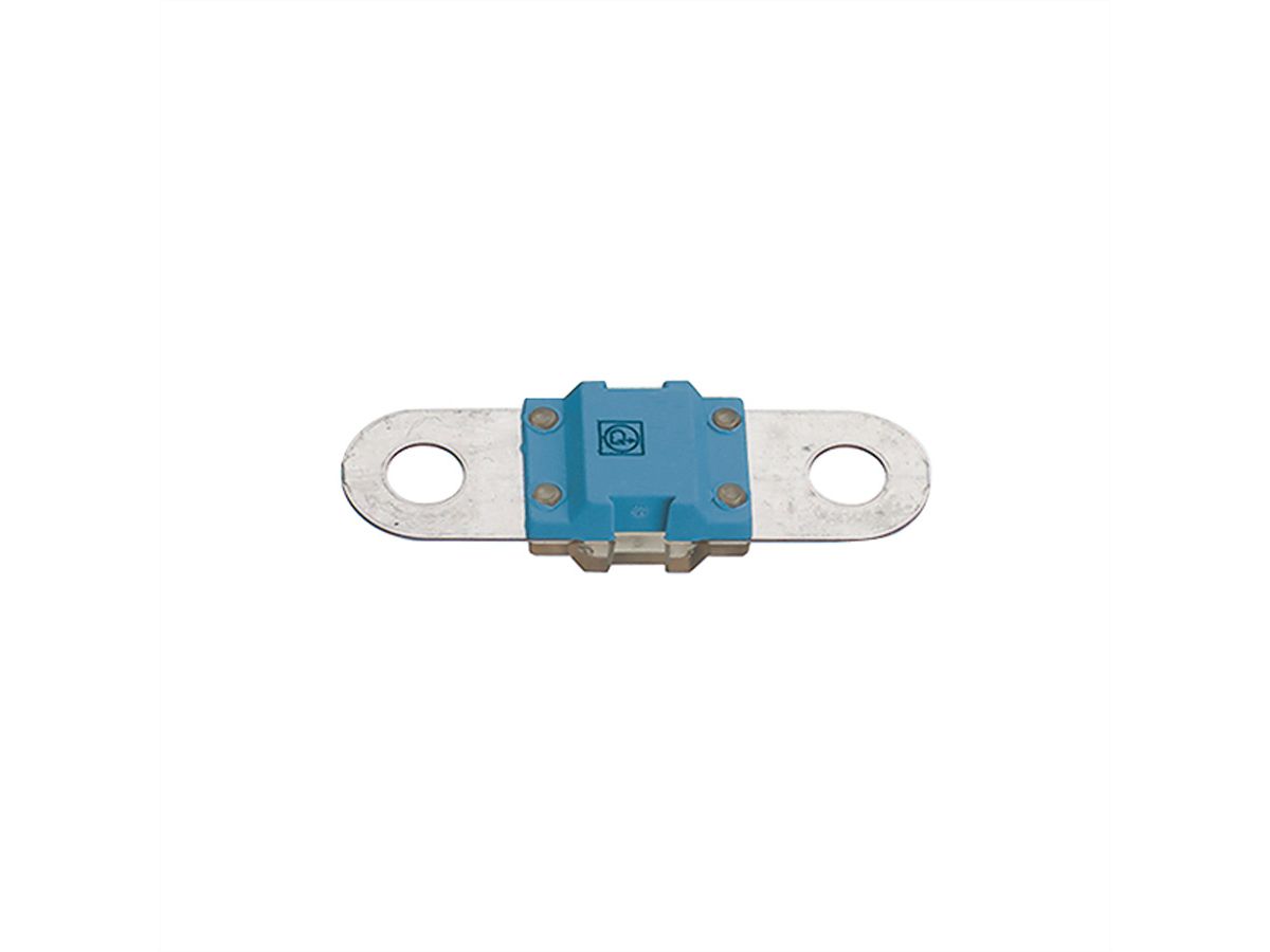Sicherung 100A 32 VDC blau BF1