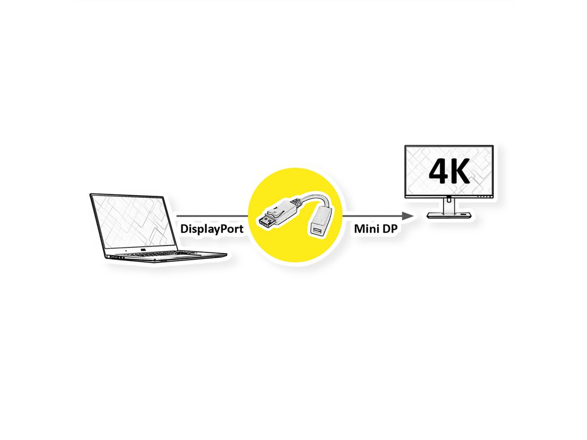 ROLINE Adaptateur DisplayPort, DP M-Mini DP F