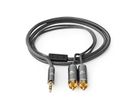 Câble audio stéréo Nedis, 1x jack ST, 2x RCA ST, gris, 2 m