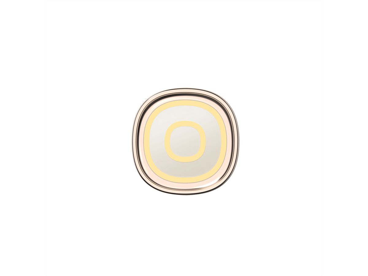 Oclean Zahnbürste X Pro Digital Set, Elektrisch, gold