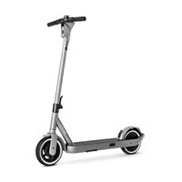 SoFlow E-Scooter SO ONE+, Silver grey